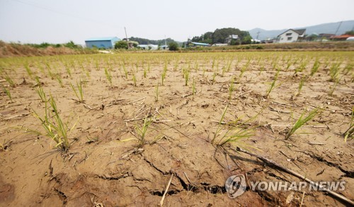 말라가는 논