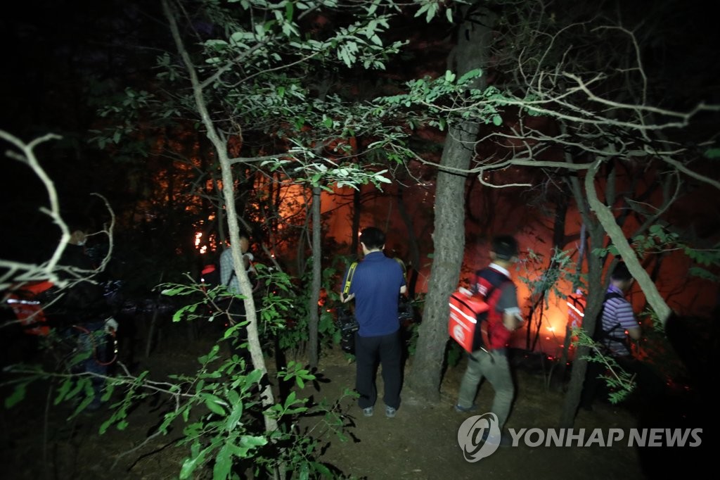 '산불을 잡아라'