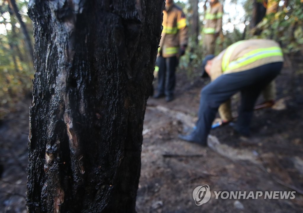 삼성산 불길 잡는 소방대원들