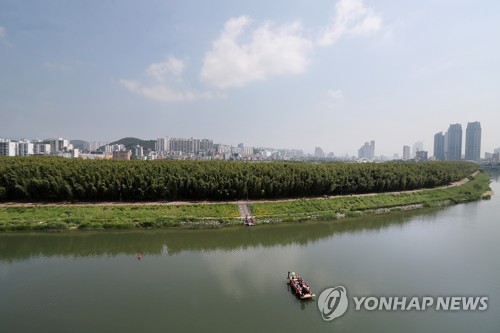 태화강 전경