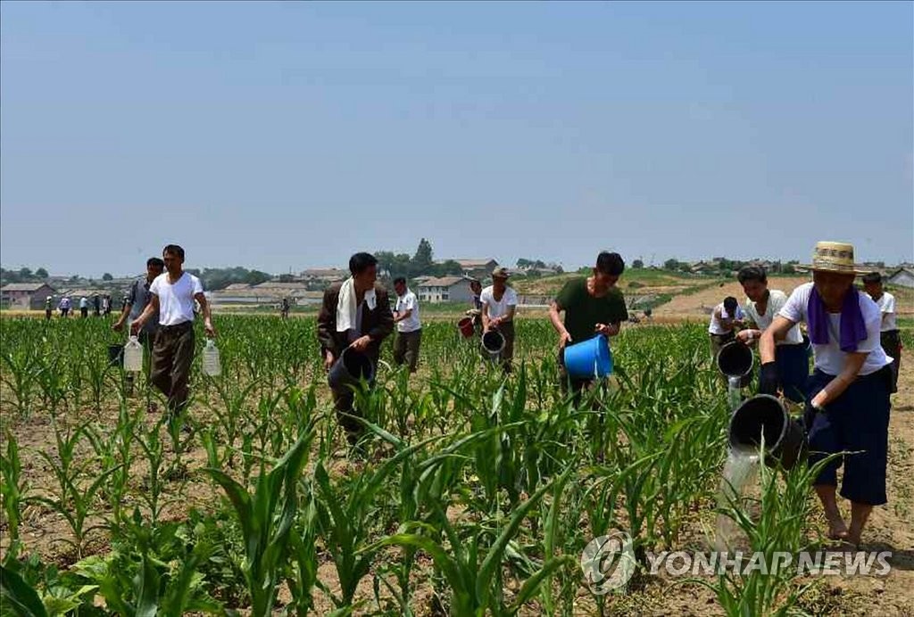 북한도 가뭄으로 비상…"전당·전국·전민 총동원"