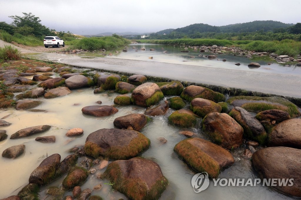 단비 내린 속초