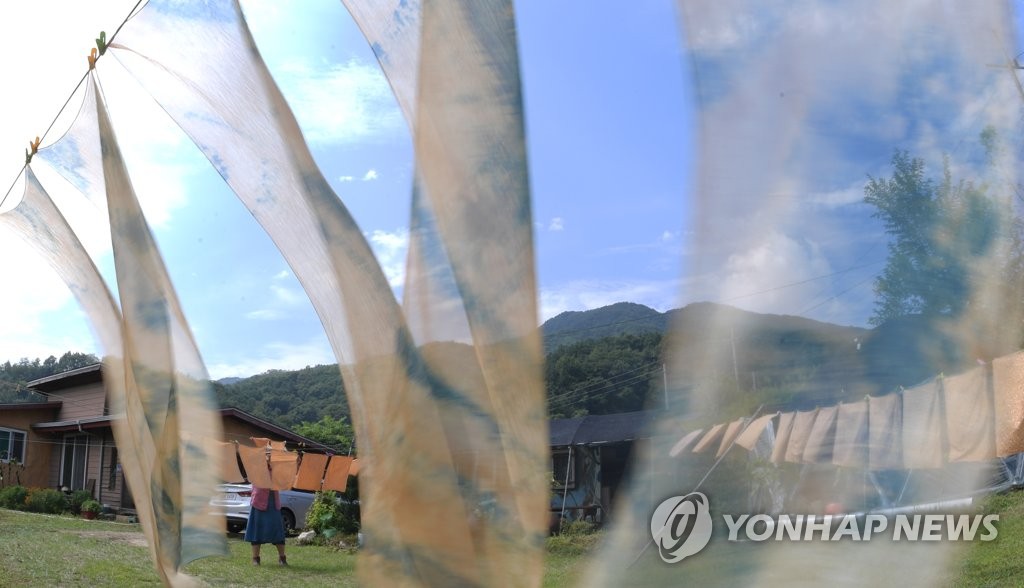 염색하기 좋은 날