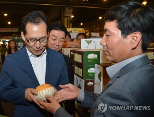 과일 가격동향 점검하는 고형권 차관