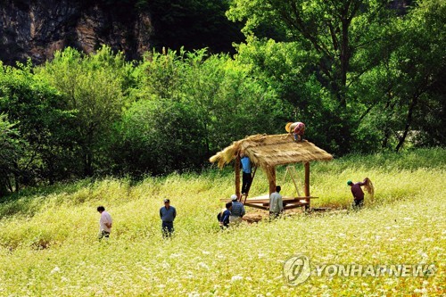 동강 제장마을과 메밀꽃