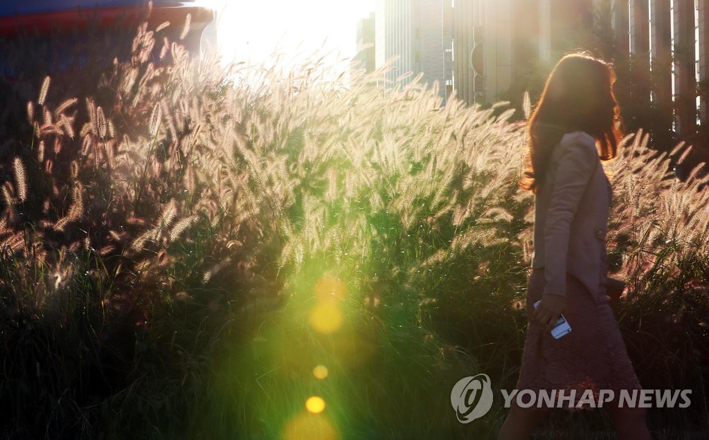 가을 햇살 받으며 상쾌한 출근길