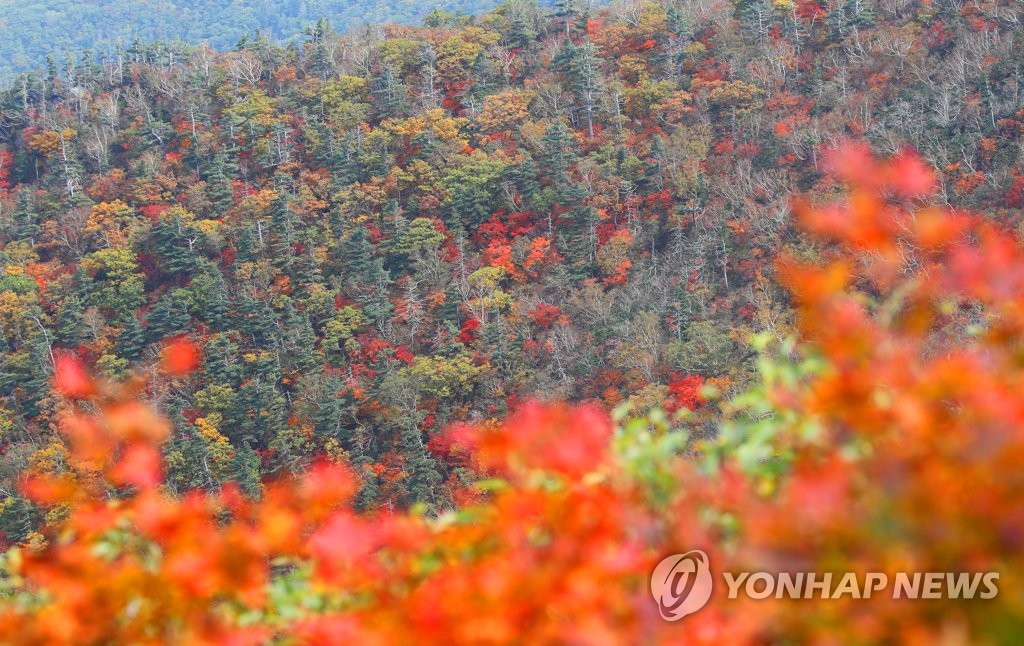 가을 깊어가는 설악산