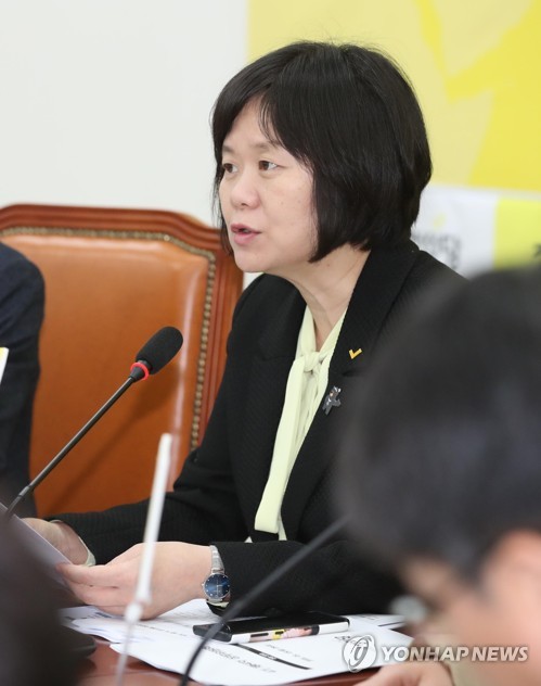 발언하는 이정미 대표