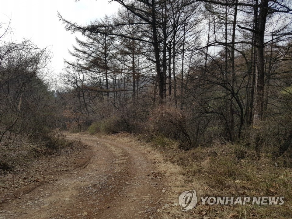 용인 지곡동 바이오의약산업단지 환경파괴 논란