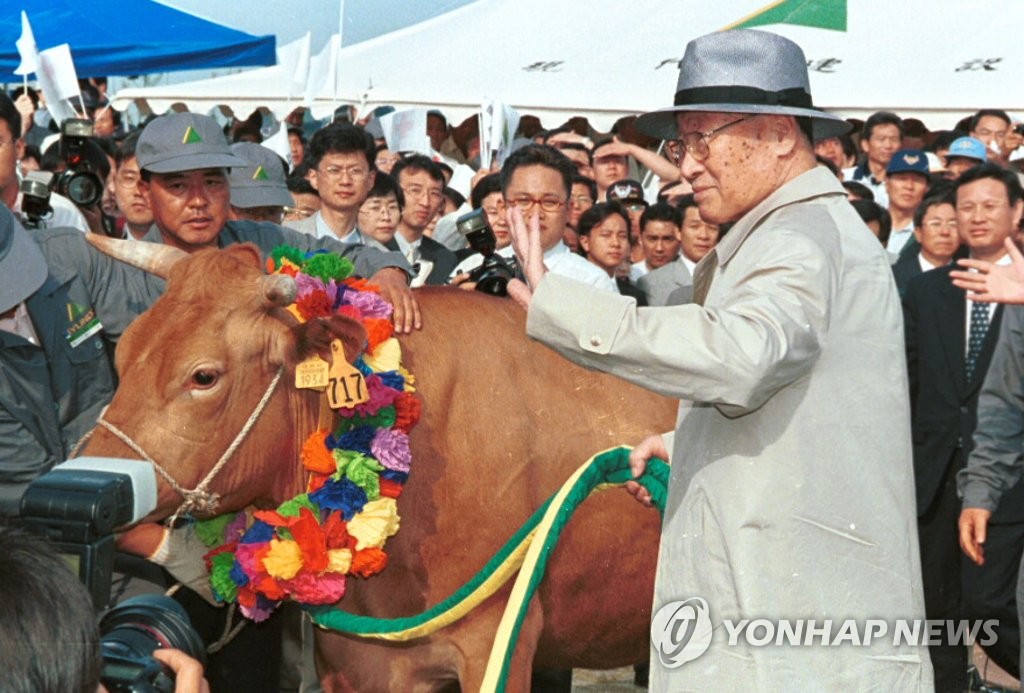 현대그룹 정주영 명예회장이 1998년 소떼를 몰고 방북하는 모습