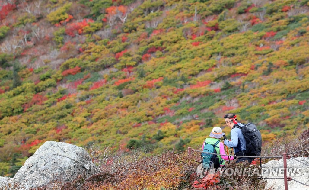 설악산 고지대 탐방로