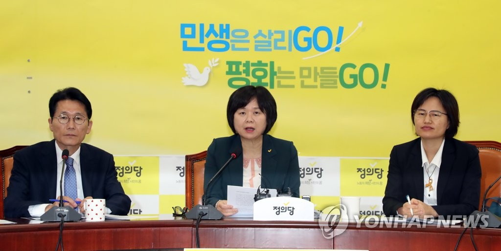 발언하는 이정미 대표