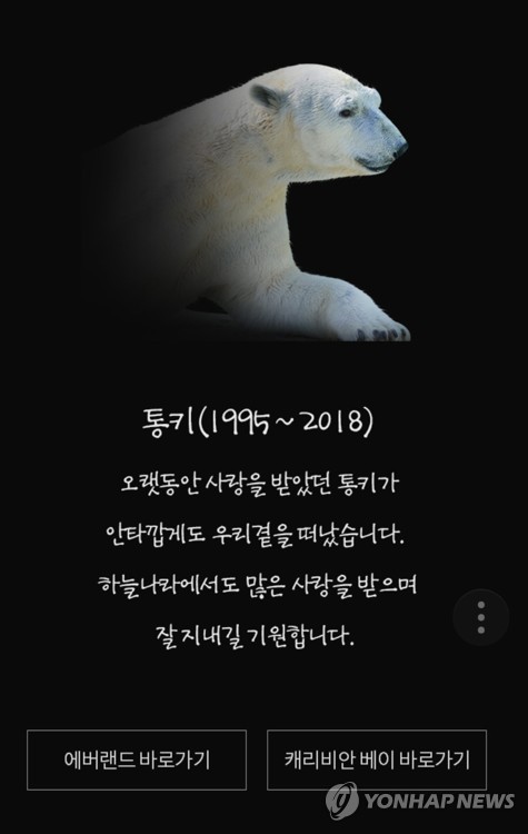 에버랜드 북극곰 통키 사망