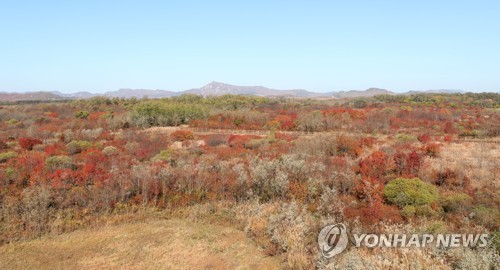 비무장지대 태봉국 철원성터