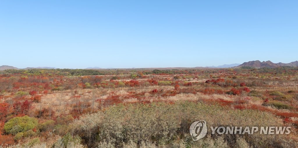 2018년 가을 촬영된 강원 철원 DMZ 내 태봉국 도성 터로 추정되는 곳