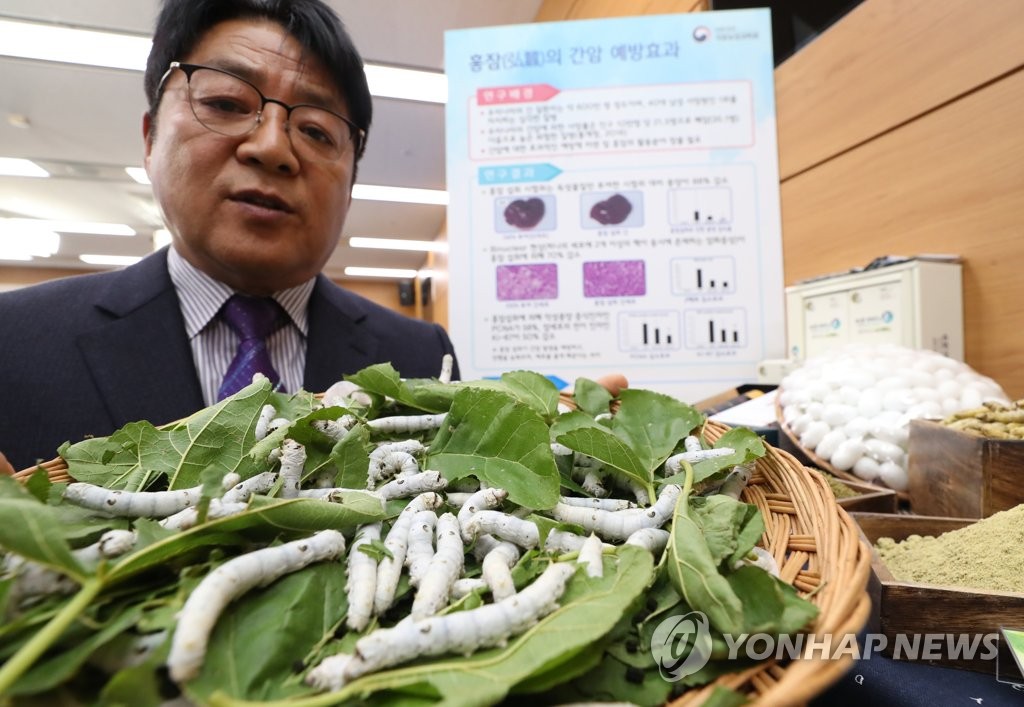홍잠, 간암 예방에 효과