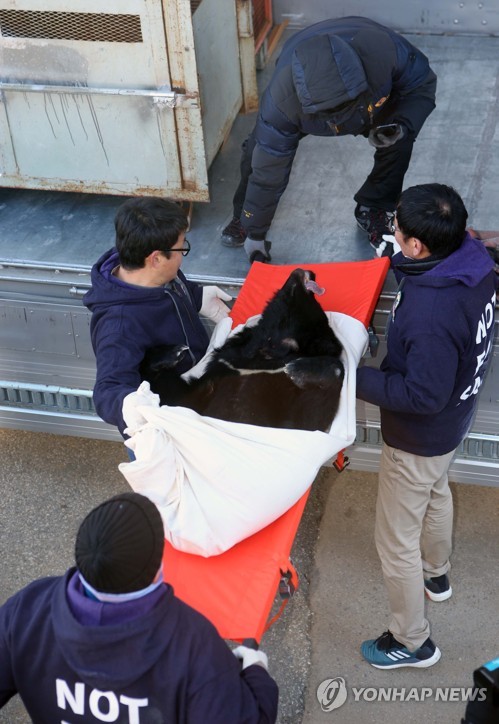 '사육장 철창에서 구출되는 반달가슴곰'