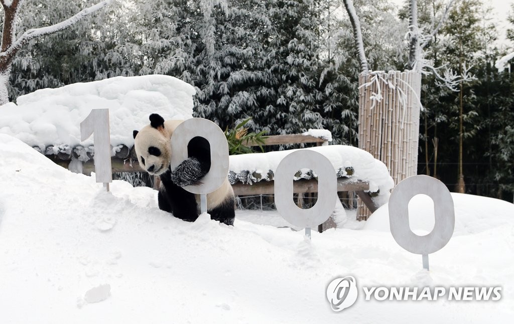 Panda World Panda World