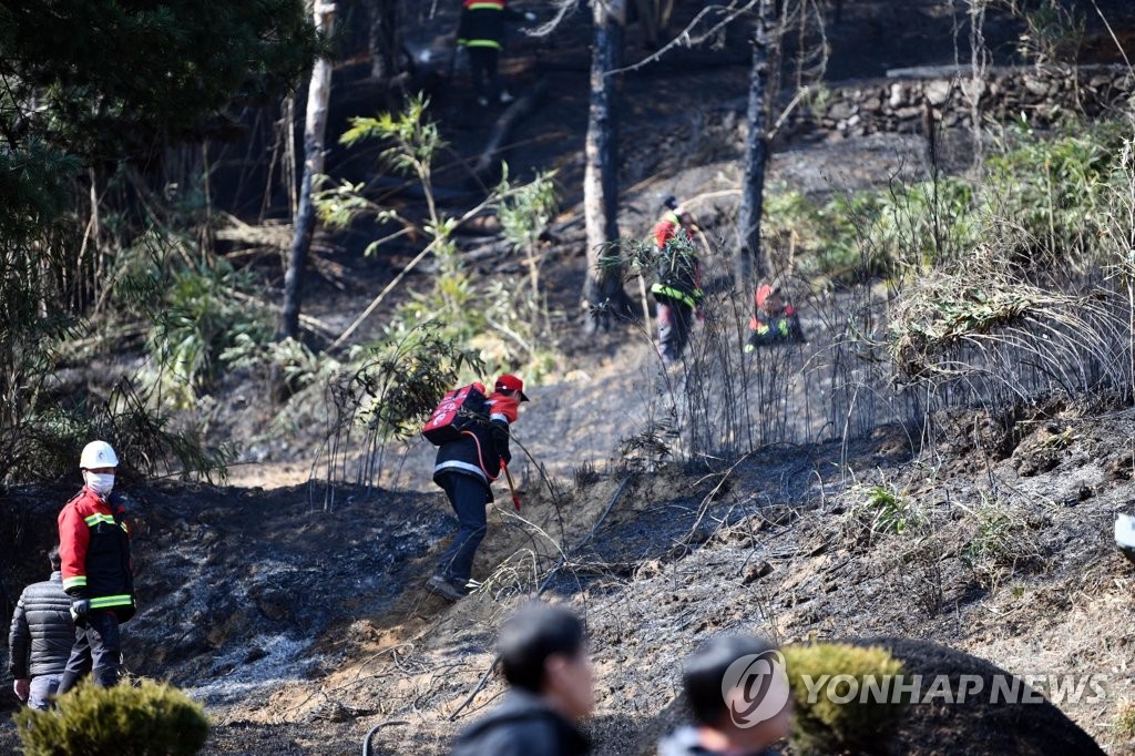 속초 도문동 야산 산불 진화