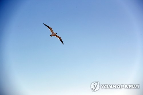 '파란 하늘이 좋아요'