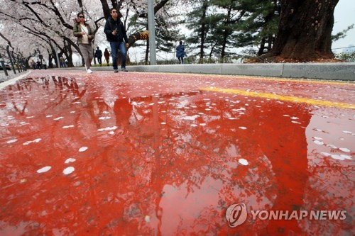 '벚꽃 엔딩'