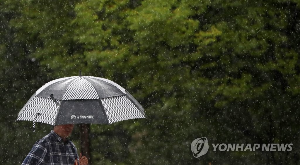 우산 쓴 시민
