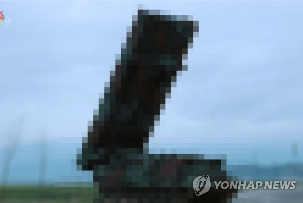 N. Korea's test-fire of new rocket system N. Korea's test-fire of new rocket system