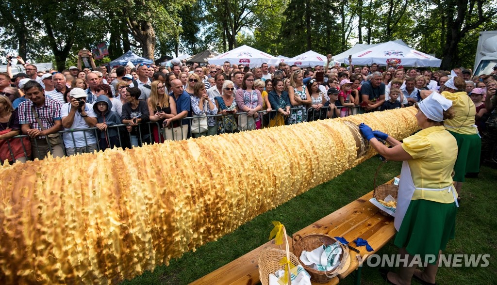 '길이 5m' 폴란드 축제의 대형 케이크