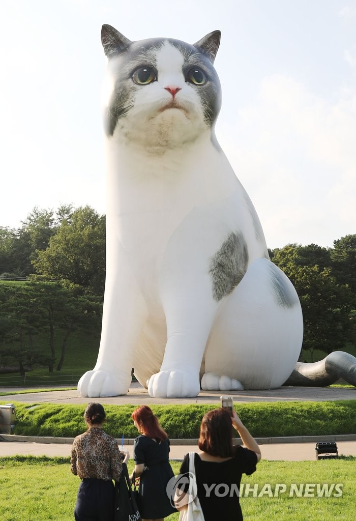 올림픽공원 거대 고양이 '어머 이건 찍어야 해'