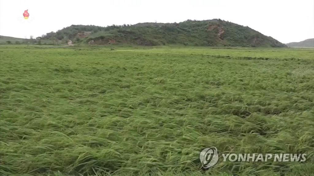 북한 TV, 태풍 '링링' 피해 보도
