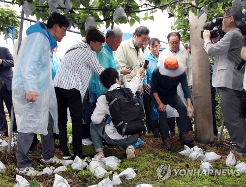 이낙연 총리, 태풍 피해 지역 방문