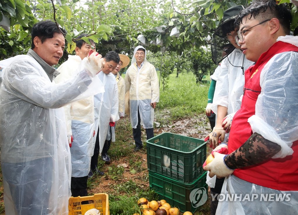 태풍 피해 농가 찾은 김병원 농협회장