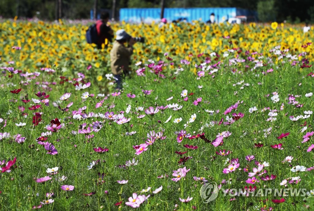 가을 풍경