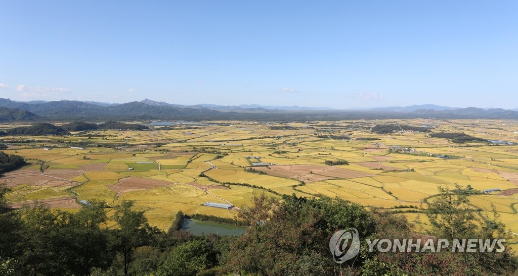 가을 흠뻑 담은 철원평야