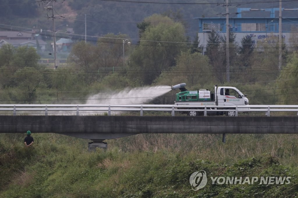 S. Korea confirms 1st case of African swine fever S. Korea confirms 1st case of African swine fever