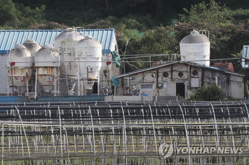 아프리카돼지열병 방역작업