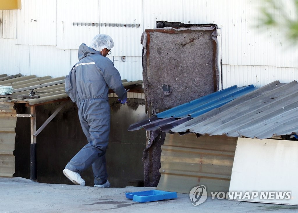 돼지열병 의심농장 들어서는 방역당국 관계자