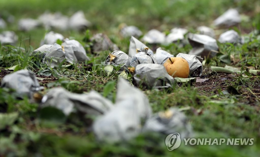 태풍에 떨어진 배
