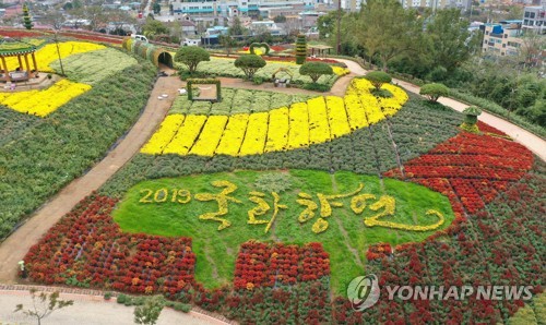 2019 화순 국화향연