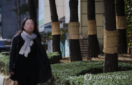 '나무도 춥고 나도 춥고'
