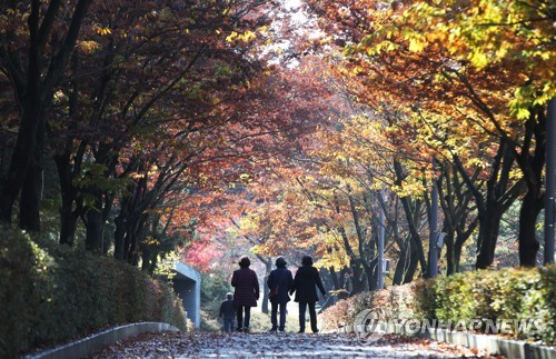늦가을 풍경
