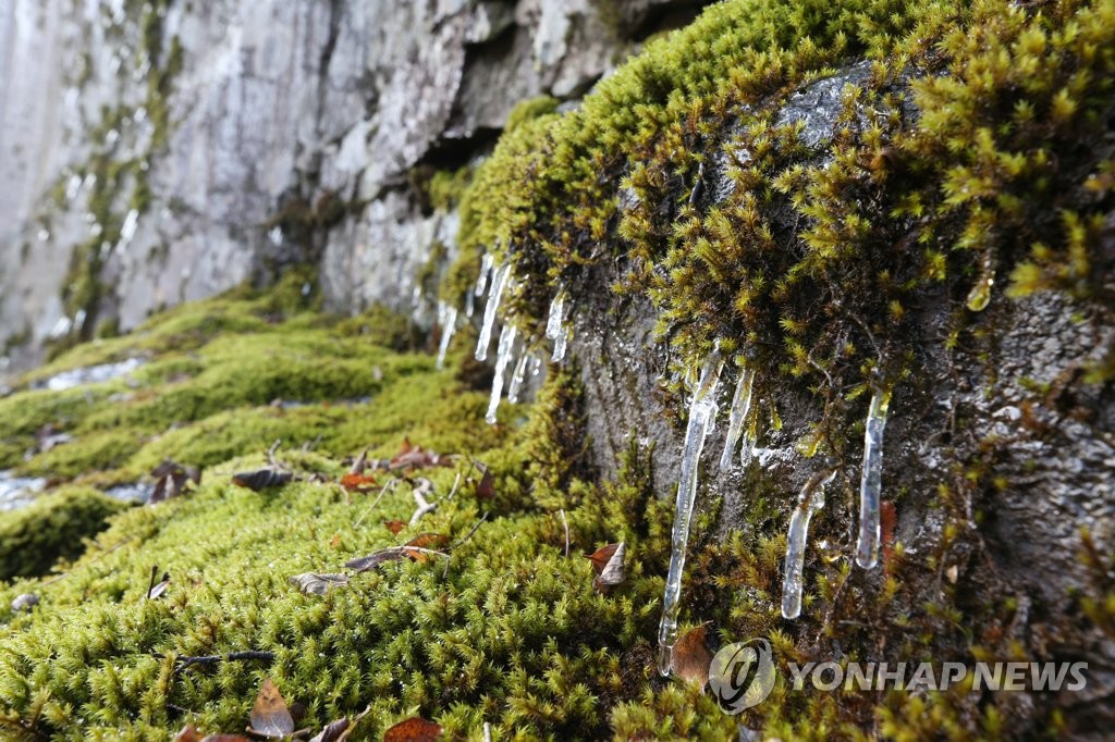 무등산에 첫얼음