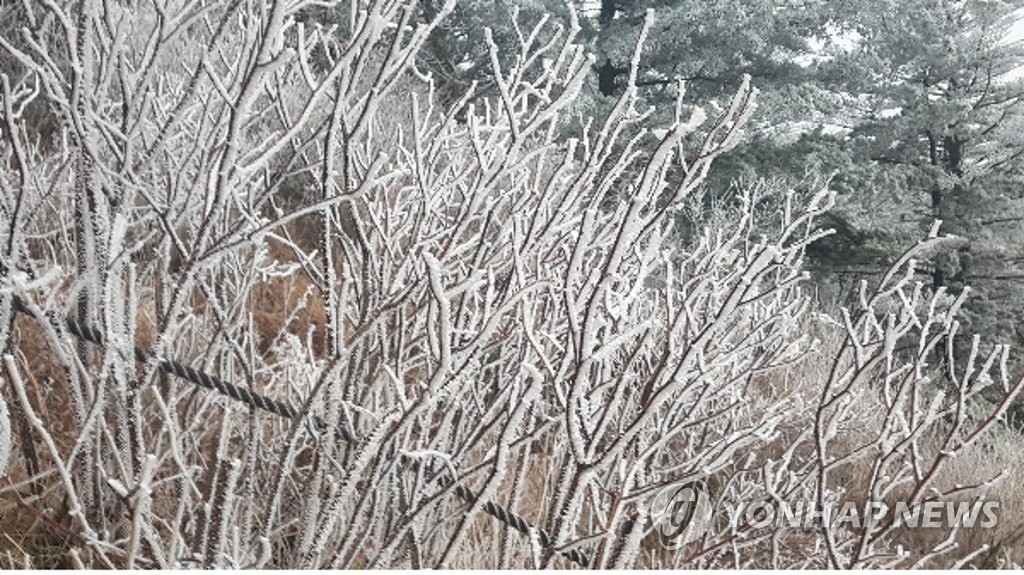 지리산 상고대