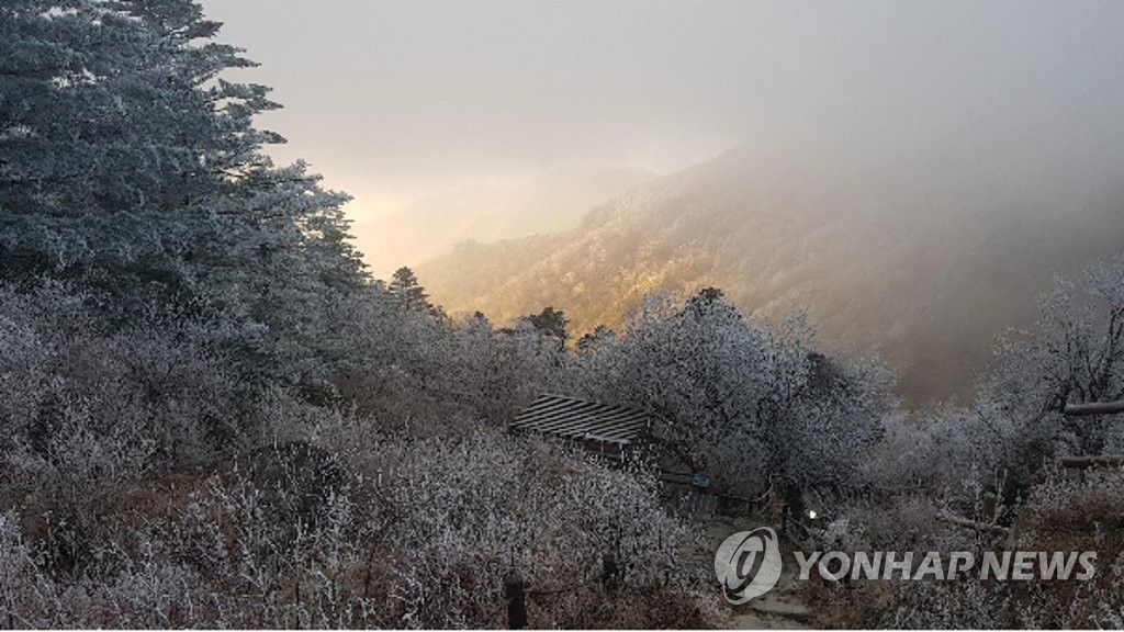 지리산 상고대