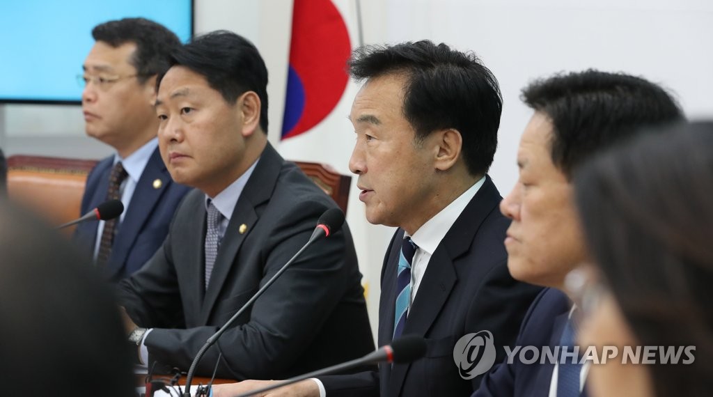 발언하는 손학규 대표
