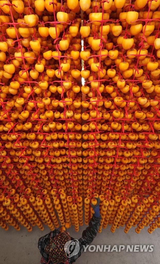 Drying persimmons Drying persimmons