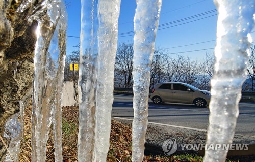 한파에 꽁꽁 얼어붙은 대관령 고드름