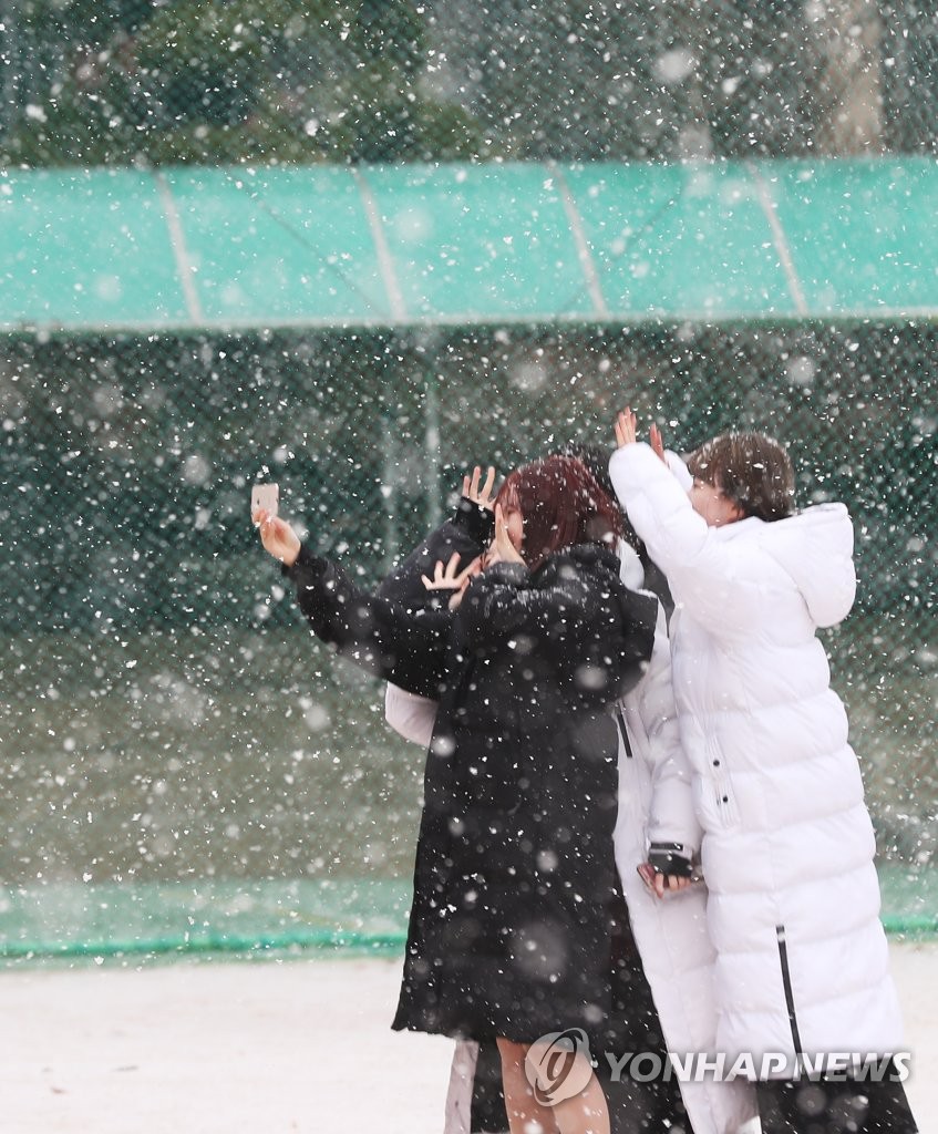 Snowfall Snowfall
