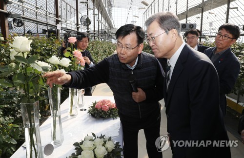 장미 쿨링하우스 설명 듣는 문 대통령