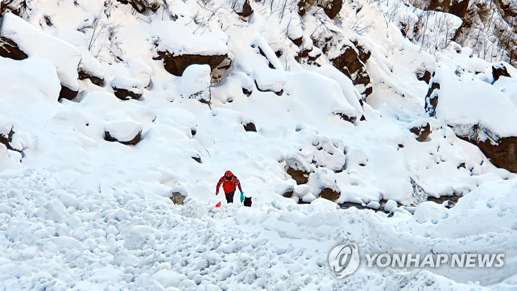 '네팔 눈사태' 실종자 수색